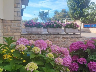 Apartment Two bedroom apartment with balcony and sea view Zablaće, Šibenik A-23960-e - Outdoor photo 7