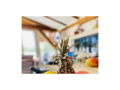 Holiday house Two bedroom house with air-conditioning Lovrečica, Umag K-22979 - Outdoor photo 23