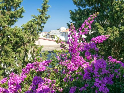 Holiday house Three bedroom house with terrace and sea view Arbanija, Čiovo K-24430 - Outdoor photo 54