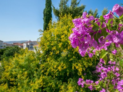 Holiday house Three bedroom house with terrace and sea view Arbanija, Čiovo K-24430 - Outdoor photo 61