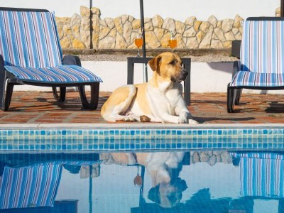 Holiday house Two bedroom house with terrace Šmrika, Kraljevica K-24407 - Outdoor photo 9