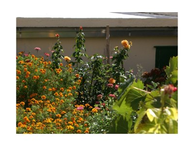 Apartment Two bedroom apartment with terrace and sea view Pisak, Omiš A-1004-c - Outdoor photo 31