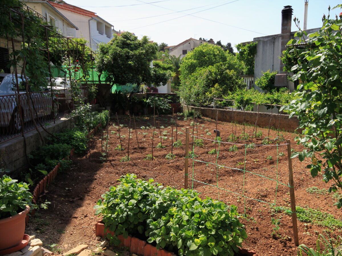 Apartment One bedroom apartment with balcony and sea view Jelsa, Hvar A-196-e - Outdoor photo 5