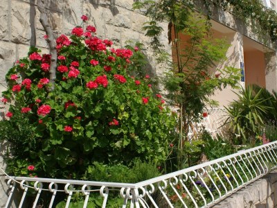 Apartment Studio flat with balcony Tučepi, Makarska AS-2721-a - Outdoor photo 10