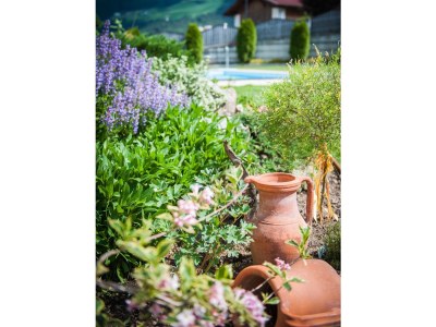 B&B Hochwart - Residence Hochwart - Outdoor photo 3