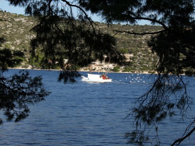 Apartment Two bedroom apartment near beach Rogoznica A-3198-b - Outdoor photo 18