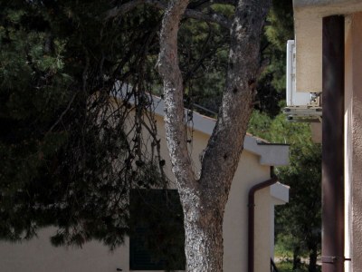 Apartment One bedroom apartment with terrace and sea view Rogoznica A-3266-b - Outdoor photo 19