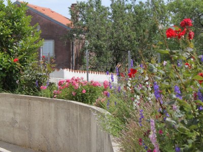 Apartment Two bedroom apartment with terrace and sea view Nerezine, Lošinj A-3451-b - Outdoor photo 12