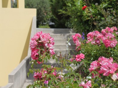 Apartment One bedroom apartment with terrace Nerezine, Lošinj A-3451-d - Outdoor photo 11