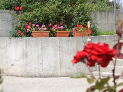 Apartment One bedroom apartment with terrace Nerezine, Lošinj A-3451-d - Outdoor photo 14