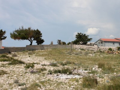 Apartment Two bedroom apartment near beach Kustići, Pag A-6355-c - Outdoor photo 12