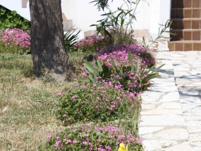 Apartment Two bedroom apartment near beach Kustići, Pag A-6355-c - Outdoor photo 14