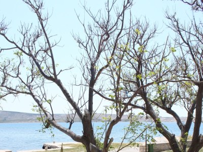 Apartment Two bedroom apartment near beach Kustići, Pag A-6355-d - Outdoor photo 9