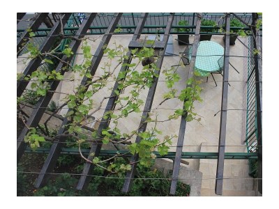 Apartment Studio flat with terrace Mošćenička Draga, Opatija AS-17381-a - Outdoor photo 2