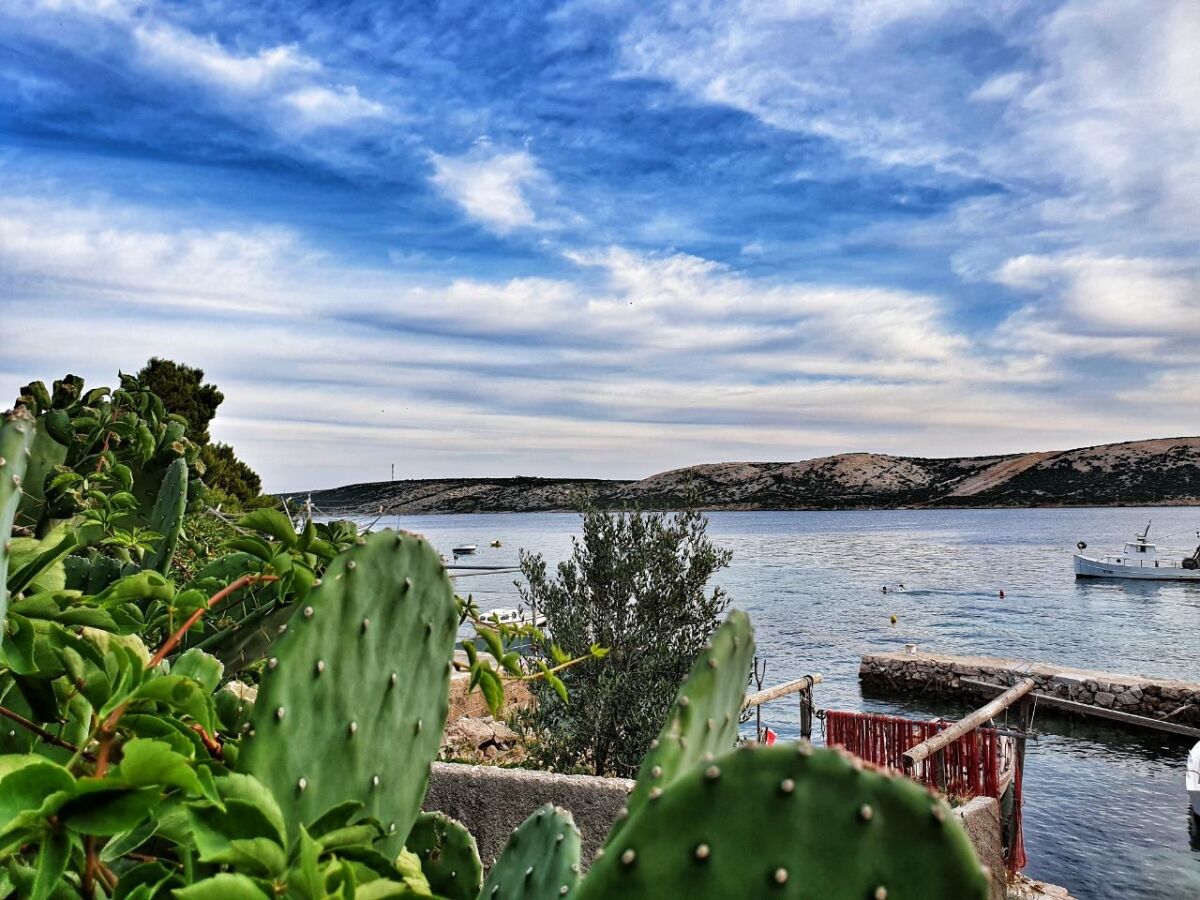 Apartment Comfortable and spacious apartment near beach Stara Novalja, Pag A-6470-a - Outdoor photo 3