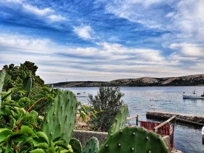 Apartment Comfortable and spacious apartment near beach Stara Novalja, Pag A-6470-a - Outdoor photo 3