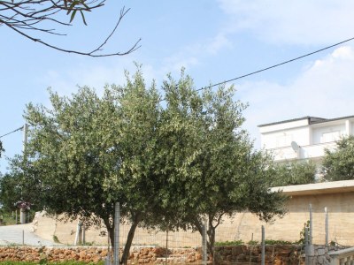 Apartment Comfortable and spacious apartment near beach Stara Novalja, Pag A-6470-a - Outdoor photo 35