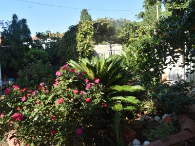 Apartment Two bedroom apartment with terrace and sea view Mali Lošinj, Lošinj A-20783-b - Outdoor photo 9