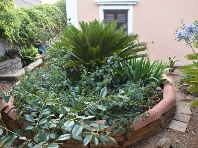 Apartment Two bedroom apartment with terrace and sea view Mali Lošinj, Lošinj A-20783-b - Outdoor photo 11