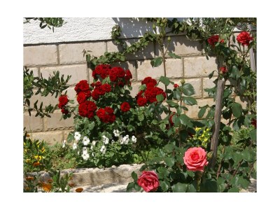 Apartment Two bedroom apartment with terrace and sea view Povljana, Pag A-230-a - Outdoor photo 10