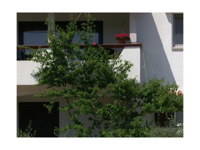 Apartment Two bedroom apartment with terrace and sea view Povljana, Pag A-230-a - Outdoor photo 16