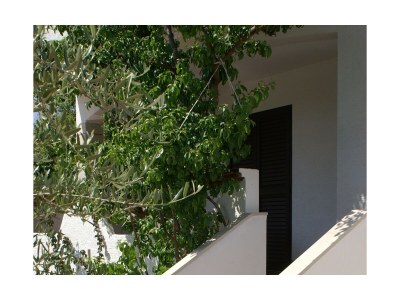 Apartment Two bedroom apartment with terrace and sea view Povljana, Pag A-230-a - Outdoor photo 29