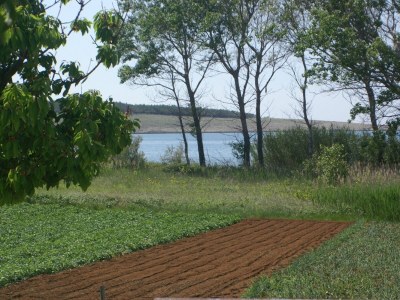 Apartment Two bedroom apartment with terrace and sea view Povljana, Pag A-230-a - Outdoor photo 30