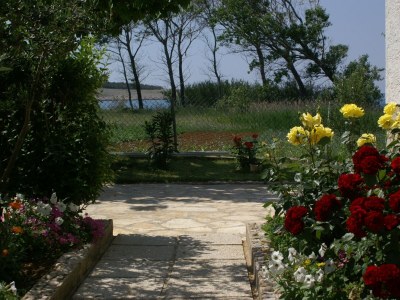 Apartment Two bedroom apartment with terrace and sea view Povljana, Pag A-230-b - Outdoor photo 14