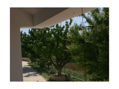 Apartment Two bedroom apartment with terrace and sea view Povljana, Pag A-230-b - Outdoor photo 32