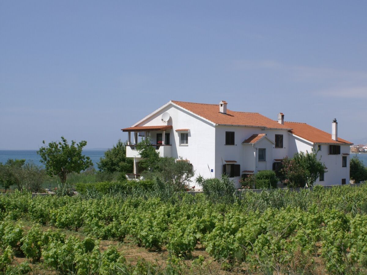 Apartment Two bedroom apartment with terrace and sea view Povljana, Pag A-230-c - Outdoor photo 3