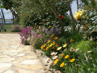 Apartment Two bedroom apartment with terrace and sea view Povljana, Pag A-230-c - Outdoor photo 9