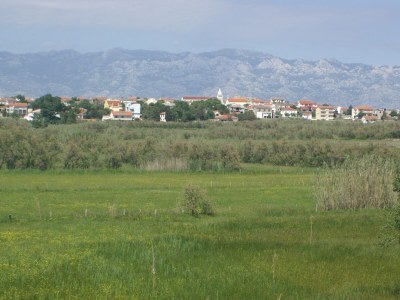 Apartment Two bedroom apartment with terrace and sea view Povljana, Pag A-230-c - Outdoor photo 31