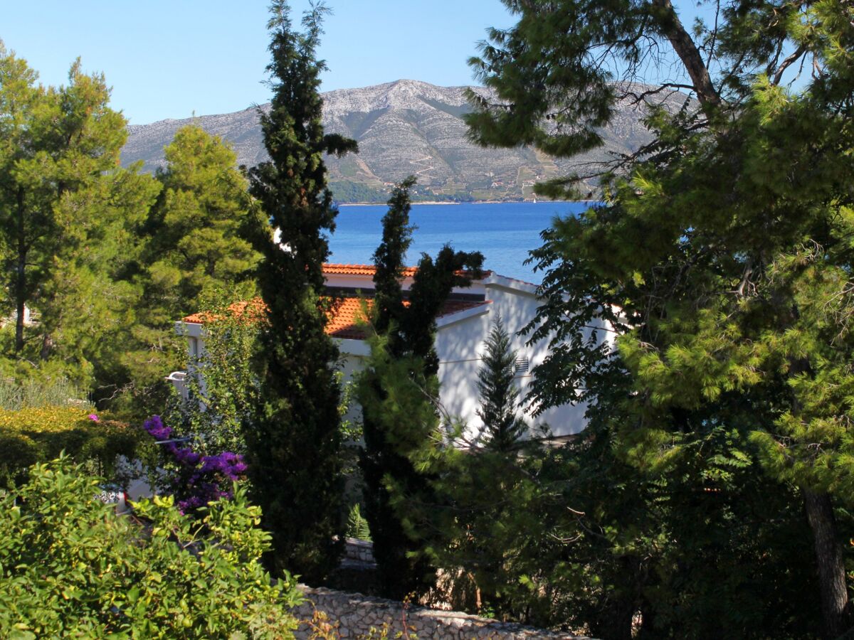 Apartment Three bedroom apartment near beach Lumbarda, Korčula A-135-a - Outdoor photo 3