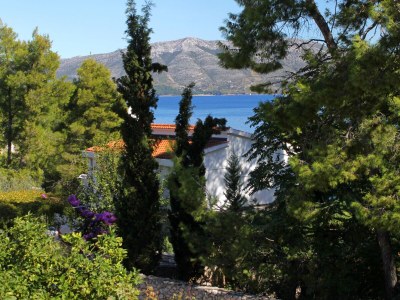 Apartment Three bedroom apartment near beach Lumbarda, Korčula A-135-a - Outdoor photo 3