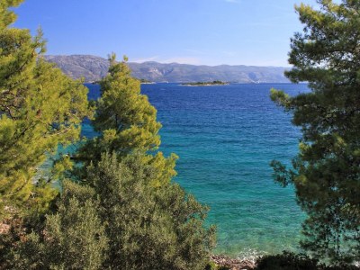 Apartment Three bedroom apartment near beach Lumbarda, Korčula A-135-a - Outdoor photo 28