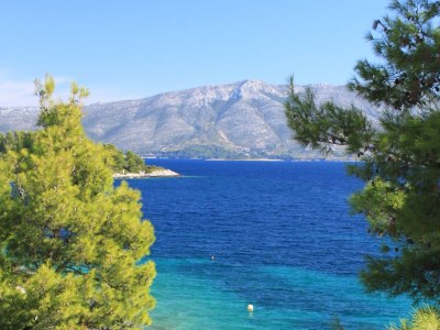 Apartment Three bedroom apartment near beach Lumbarda, Korčula A-135-a - Outdoor photo 31