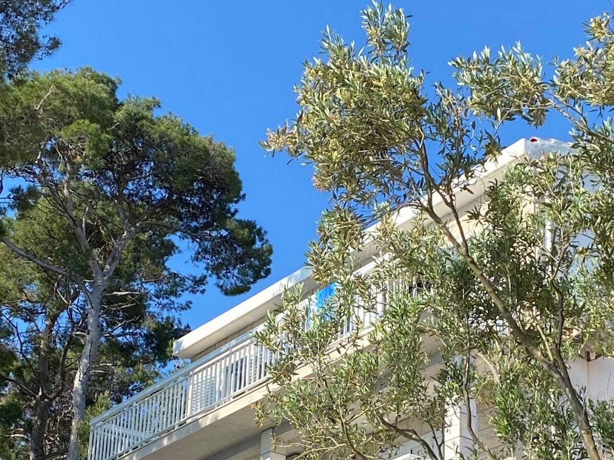 Apartment Two bedroom apartment near beach Lumbarda, Korčula A-135-b - Outdoor photo 2