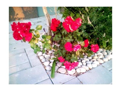 Apartment One bedroom apartment with air-conditioning Starigrad, Paklenica A-11683-b - Outdoor photo 3