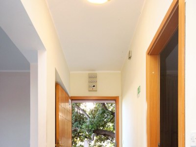 Apartment Two bedroom apartment near beach Prižba, Korčula A-176-a - Outdoor photo 21