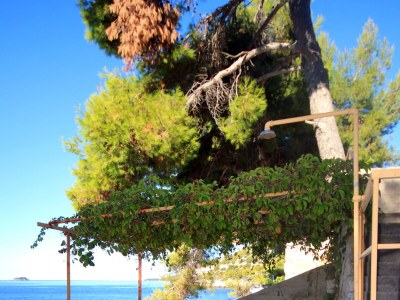 Apartment Three bedroom apartment near beach Prižba, Korčula A-176-b - Outdoor photo 7