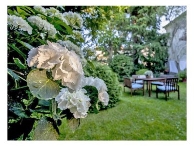 Apartment One bedroom apartment with balcony Rovinj A-23505-a in Rovinj - Apartment