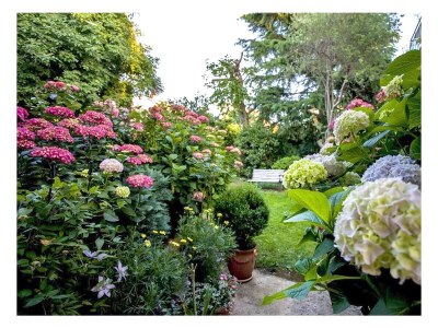 Apartment One bedroom apartment with balcony Rovinj A-23505-a - Outdoor photo 7