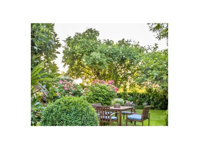 Apartment One bedroom apartment with balcony Rovinj A-23505-a - Outdoor photo 8