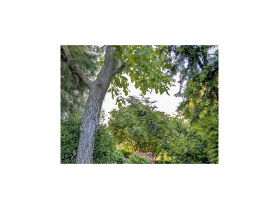 Apartment One bedroom apartment with balcony Rovinj A-23505-a - Outdoor photo 9