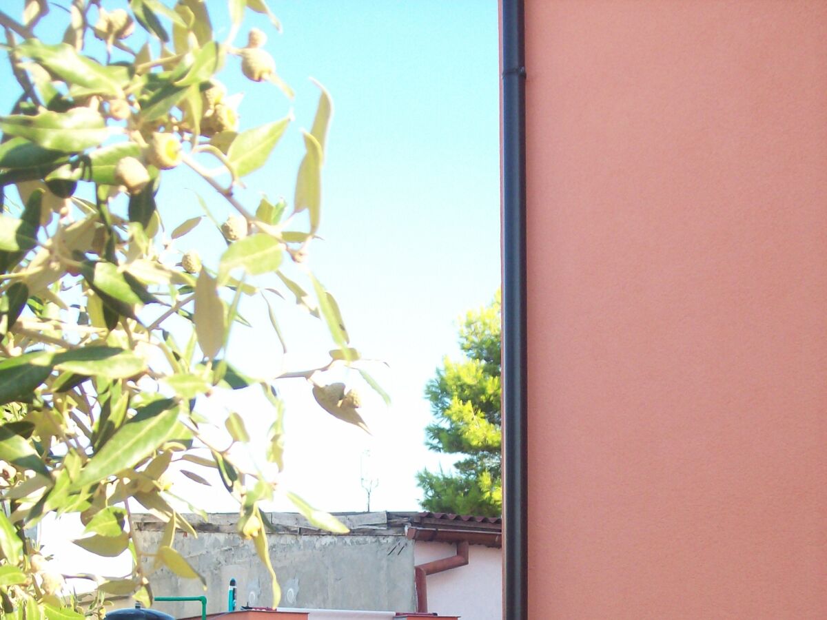 Apartment Two bedroom apartment with terrace Vir A-17422-b - Outdoor photo 4