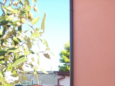 Apartment Two bedroom apartment with terrace Vir A-17422-b - Outdoor photo 4