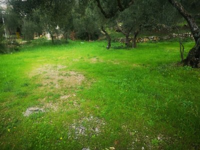 Apartment Two bedroom apartment with balcony and sea view Tučepi, Makarska A-22384-e - Outdoor photo 11