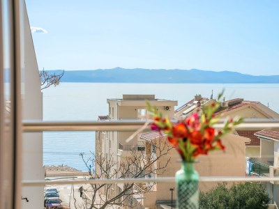 Apartment Two bedroom apartment with balcony and sea view Tučepi, Makarska A-22384-e - Outdoor photo 23