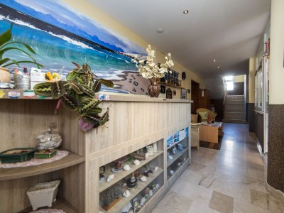 Apartment Studio flat with terrace and sea view Tučepi, Makarska AS-22384-a - Outdoor photo 9