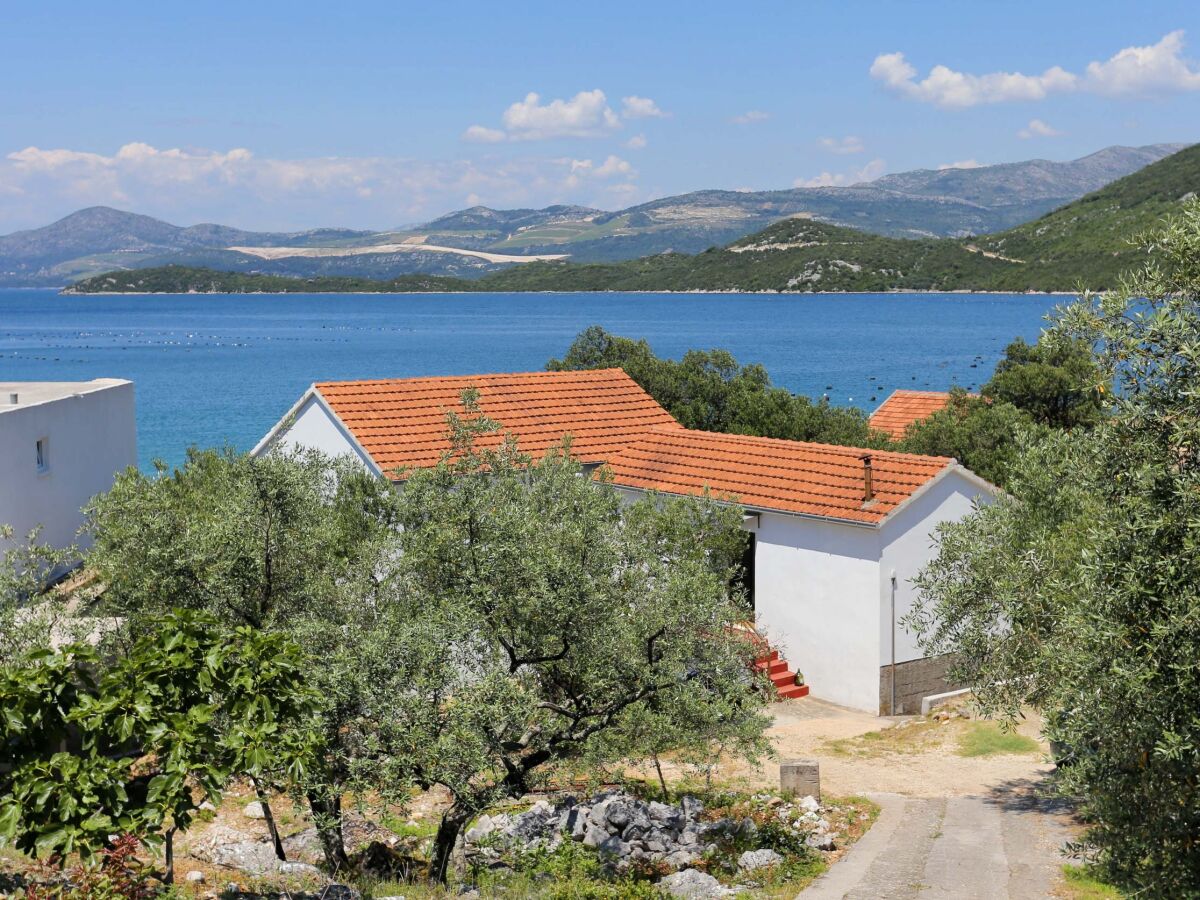 Apartment Two bedroom apartment near beach Žuronja, Pelješac A-10134-a - Outdoor photo 4